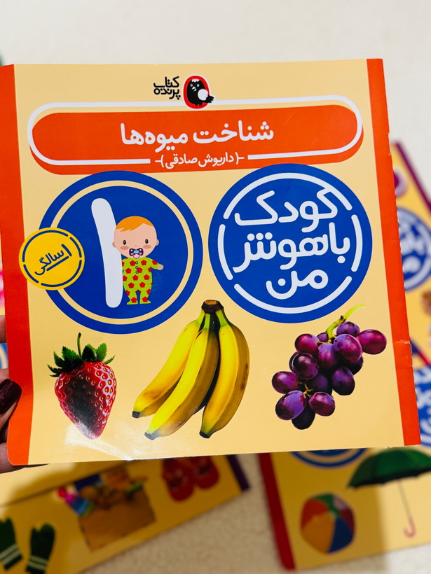 کودک باهوش من (یک سالگی)